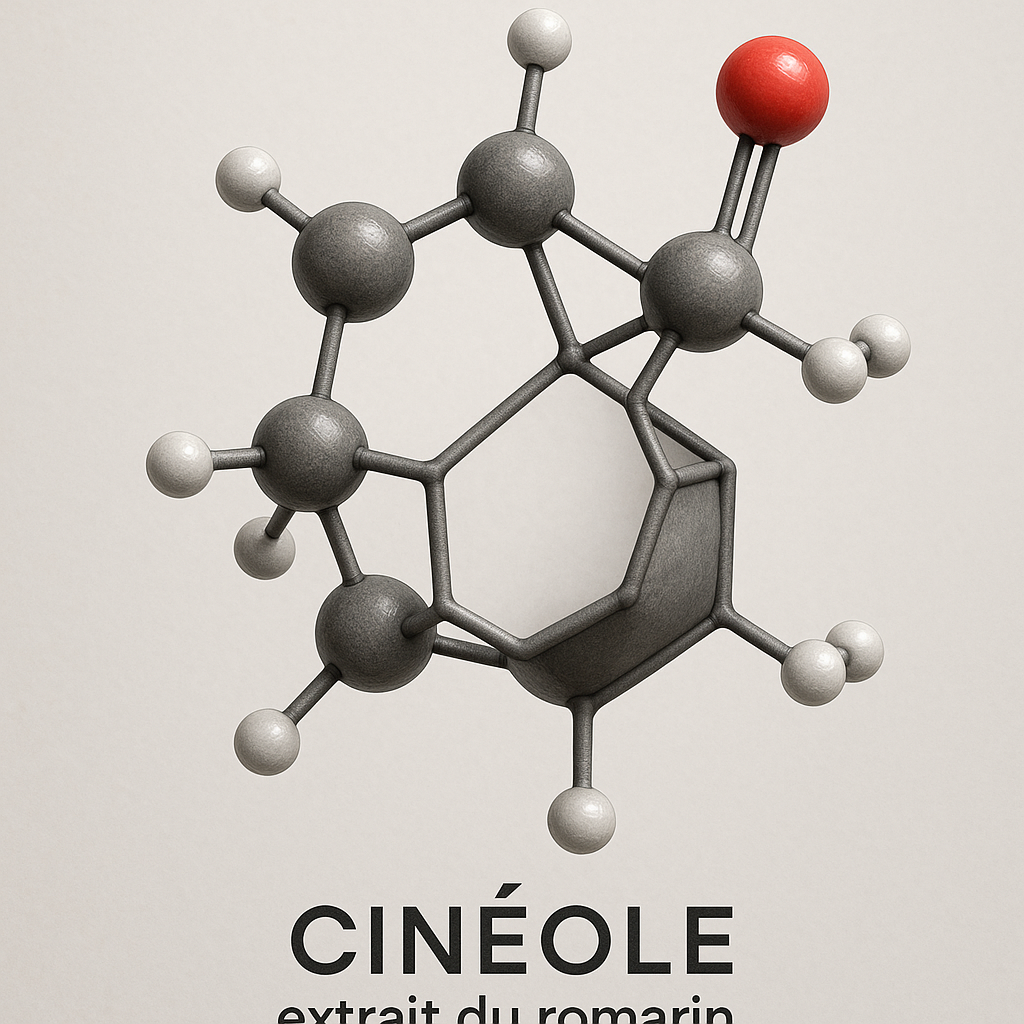 Structure moléculaire du cinéole dans le romarin