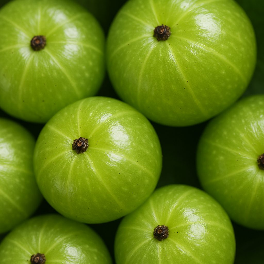 Baies vertes d'amla brillantes et juteuses